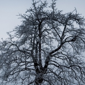 Review: A Winter’s Tale, Landor ✭✭✭✭