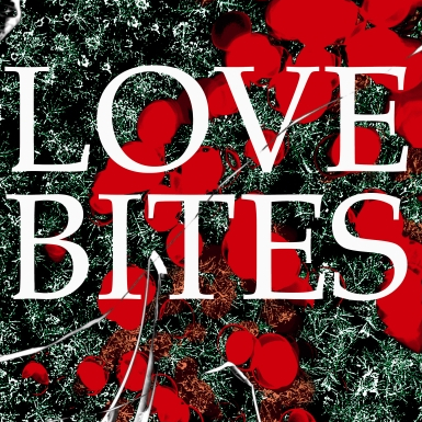 Interview: The Love Bites plays