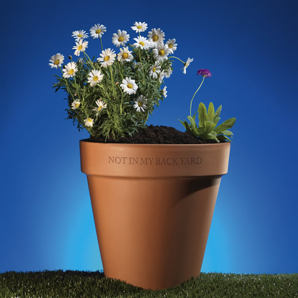 Review: NIMBY – Old Red Lion ****