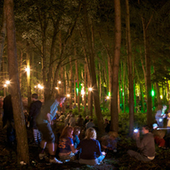 Latitude 2010: Sex, Drugs & Booze – oh and Apples